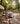 NTG-03-2025_image_1
